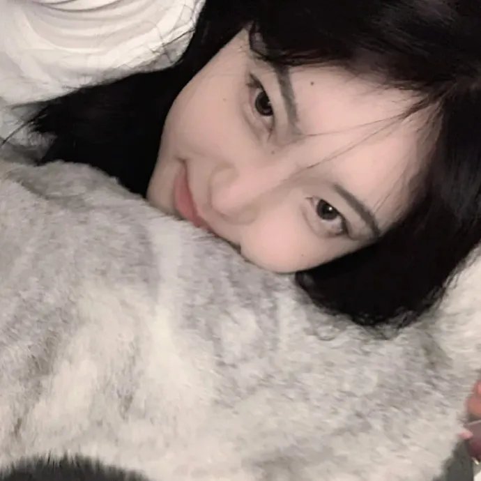 佛莱迪墨裘瑞慈善义演